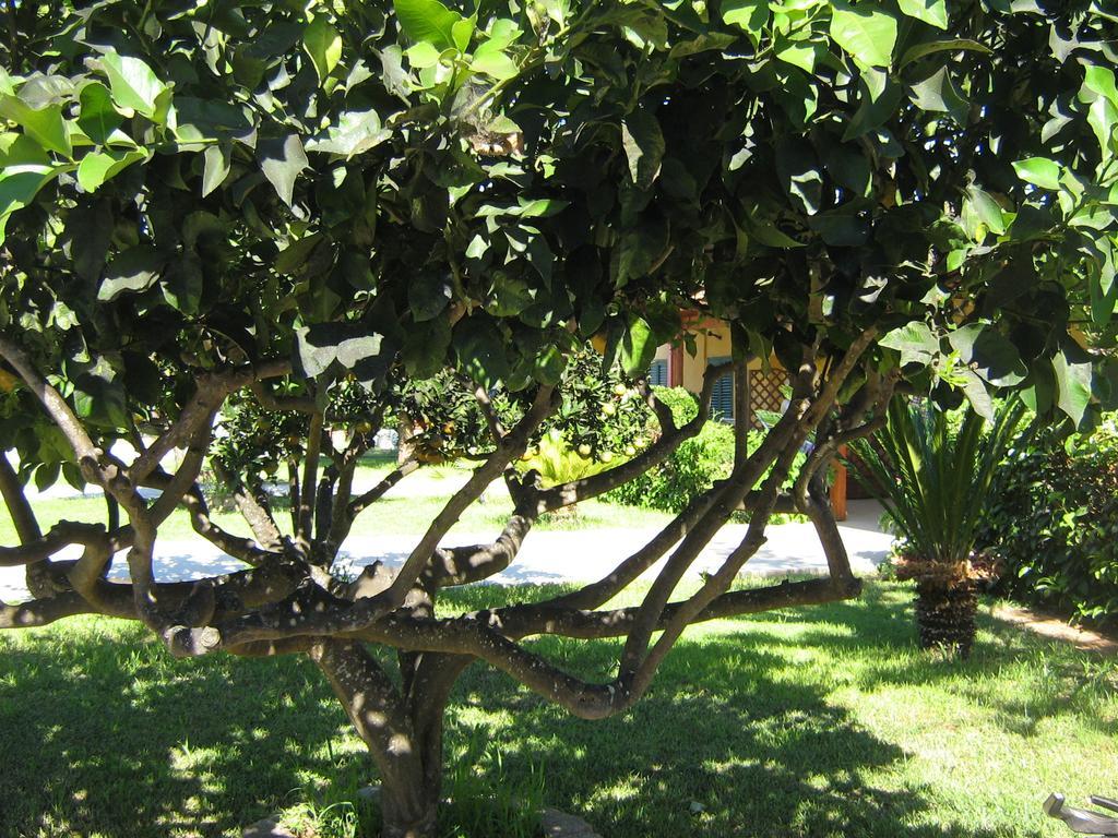 Tenuta Paifer Otranto Dış mekan fotoğraf