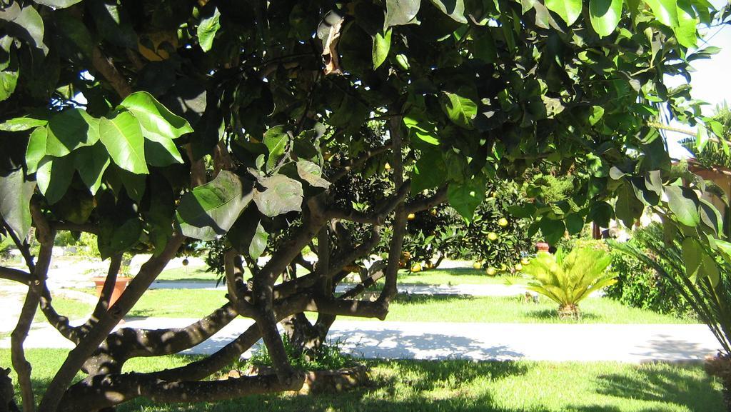 Tenuta Paifer Otranto Dış mekan fotoğraf